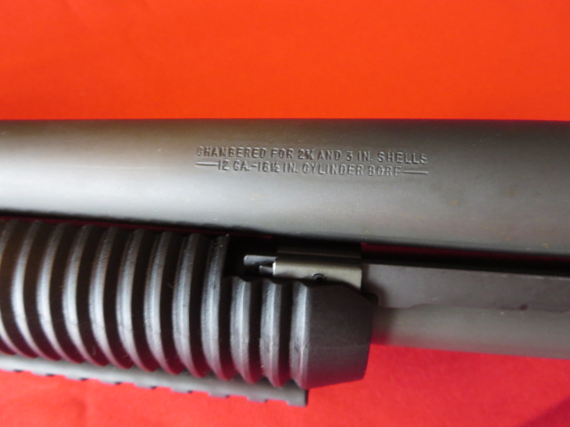 Waff-ank-Clearwater-020