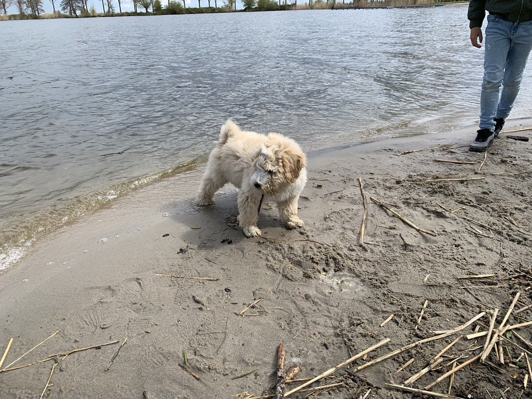 44B63ABC-3AAC-4EA8-B67A-529E3C5B4AD5