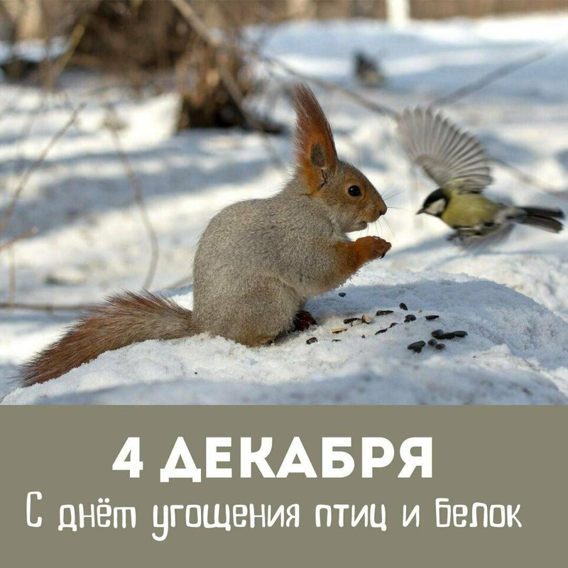 IMG_20231203_222926_435