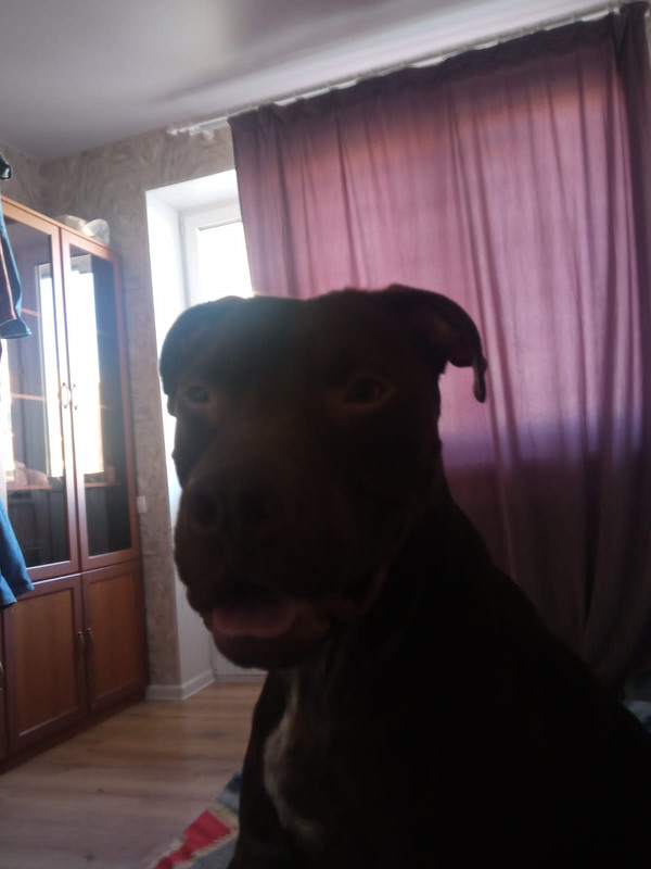 F857719C-6576-4791-96B4-2F61BBC79A27