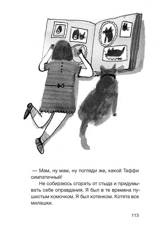Дневник Кота Плинтуса Купить Книгу
