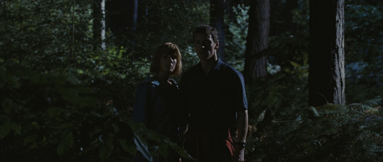 Eden Lake 2008 (1080p x265 10bit Tigole).mkv_snapshot_00.30.19_[