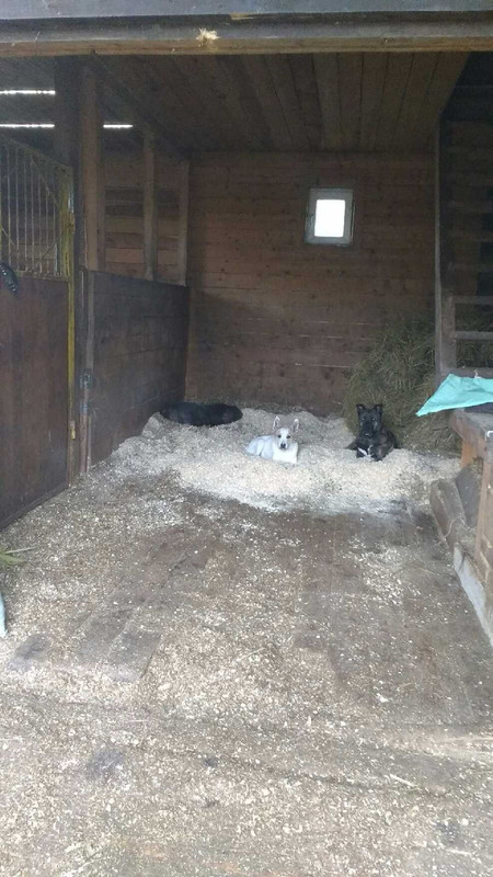 1FD9C030-CA1F-42AC-BC86-ECA737D4767E