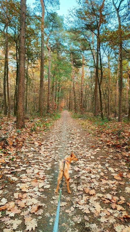 Lumii 20251108 183003190