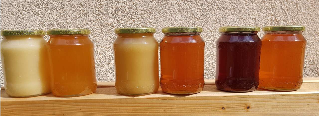 ruzne barvy medu_TK (1)