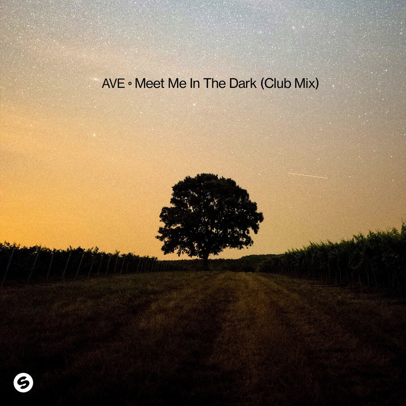 Ave - Meet Me In The Dark (Club Extended Mix)