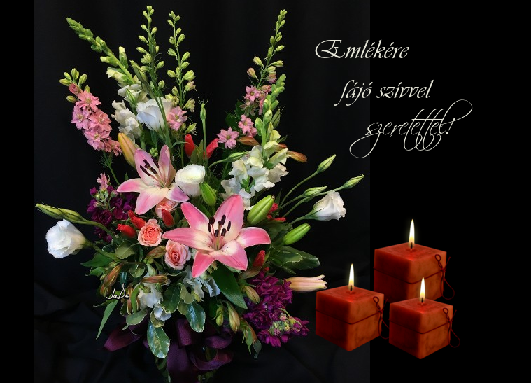 oie_1zdtkvipe3ou (1) másolata