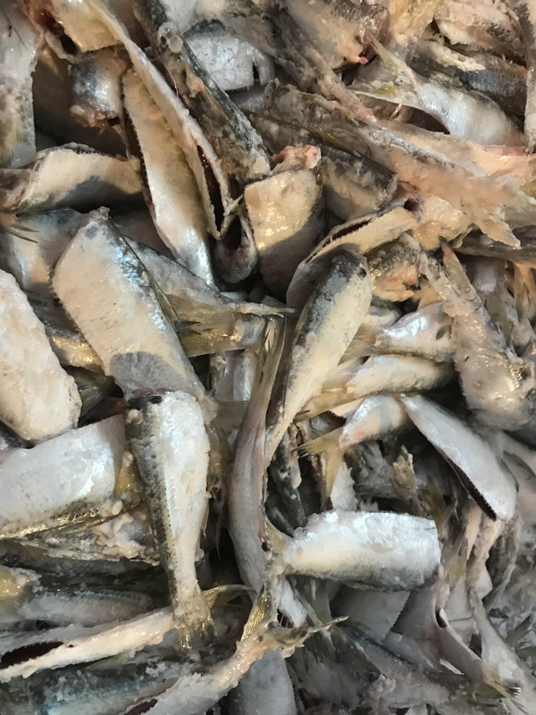 50FA043A-54EF-4212-A6EF-ADEC1C2967AE