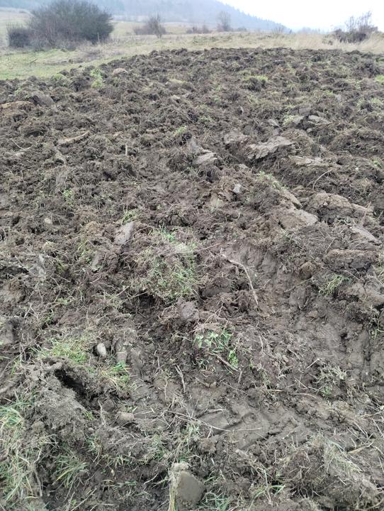 IMG 20251222 122155789