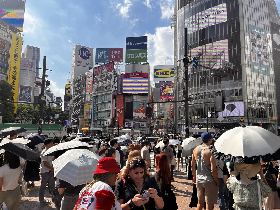 C79696F1-0E9B-470F-8664-46FACF0BA387