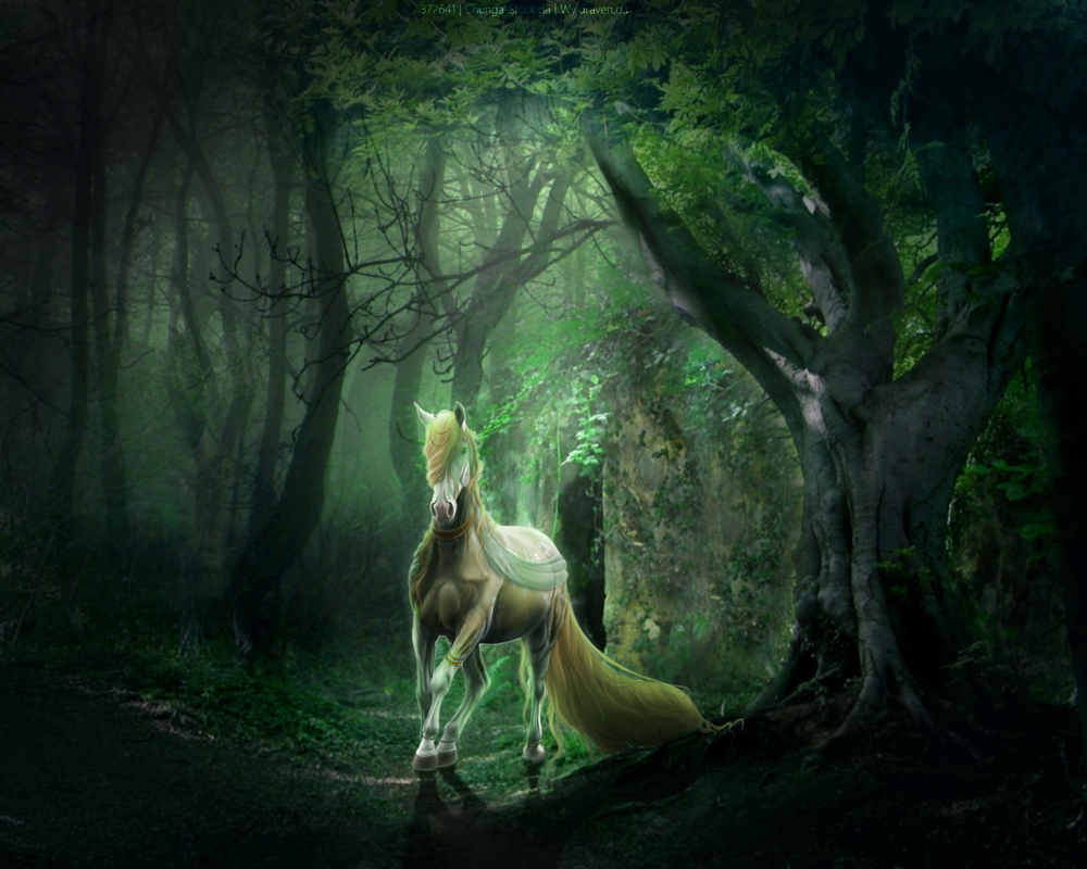 Forest-Thingy-Final.png