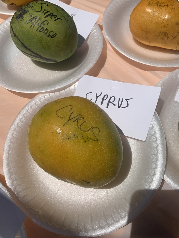 73061851-38A5-4C90-A2BA-FED02D8304C2