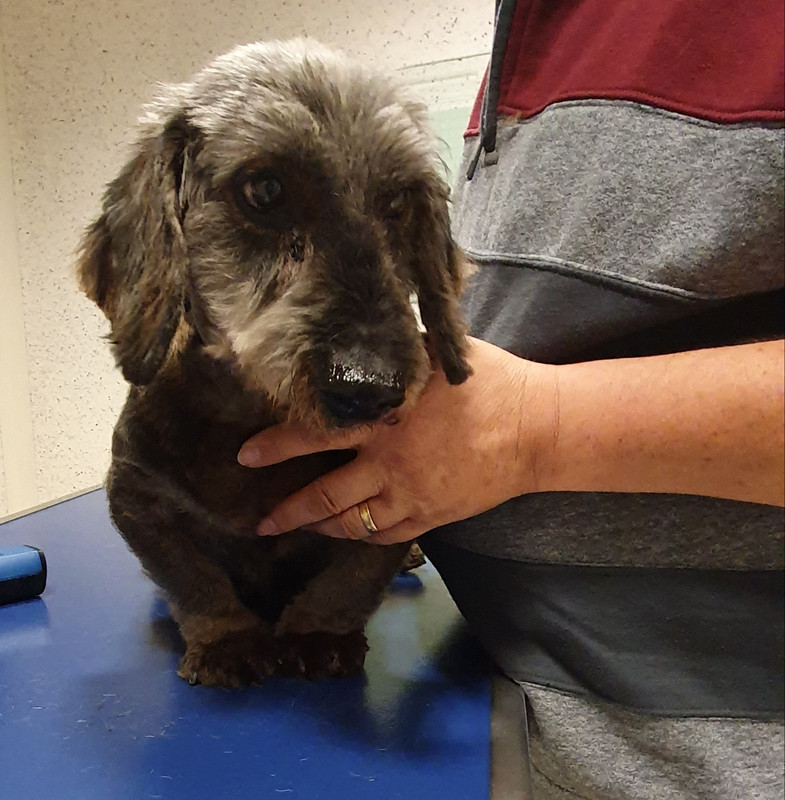 [Image: 20221118-183403.jpg]