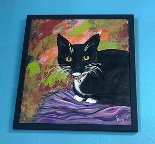 gato
