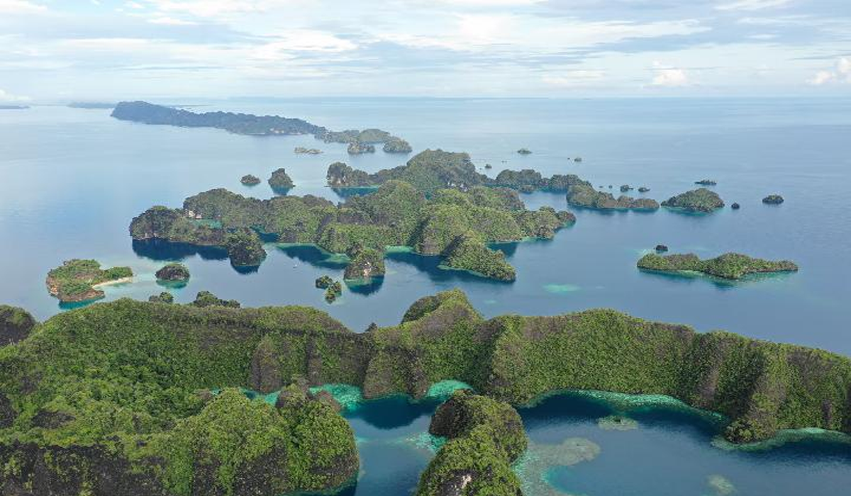 Panas! Raja Ampat Jadi Rebutan, Ini Pengakuan Aktivis dan Pelaku Wisata Panas! Raja Ampat Jadi Rebutan, Ini Pengakuan Aktivis dan Pelaku Wisata