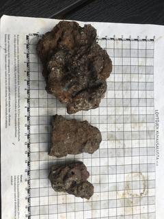 4BBA8D50-A2D0-46F4-939B-45CEF37ED136