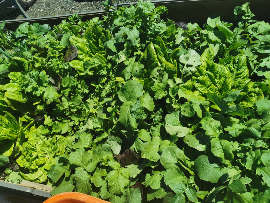 WhatsApp Image 2021-05-23 at 10.35.59