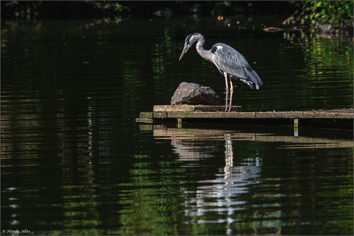 XT4H3355 2023 Gottwill  LR ERWZ FB