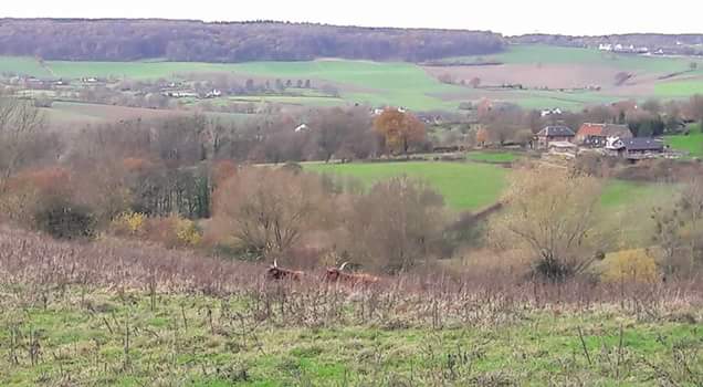 FB_IMG_1479834983886