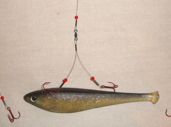 pike rig