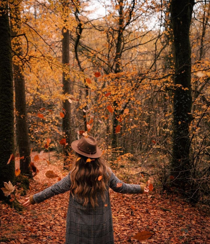 Screenshot_20221203-021051_Chrome