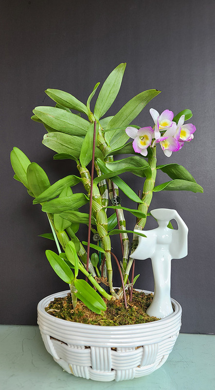 [Image: 20240929-105705.jpg]