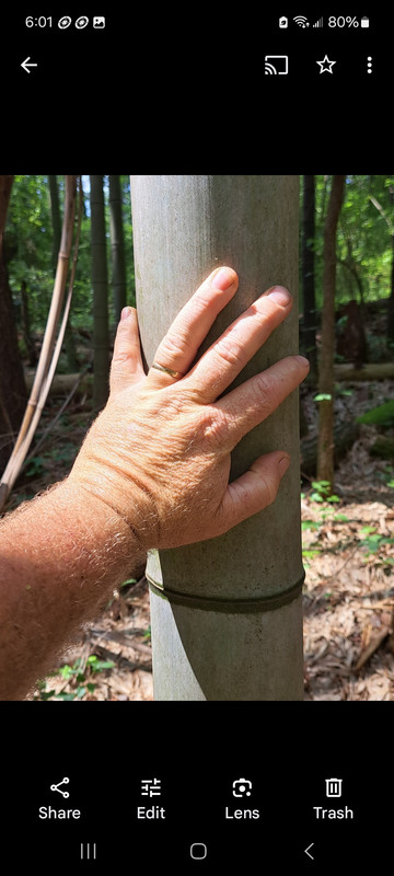 Screenshot_20250413_180124_Photos