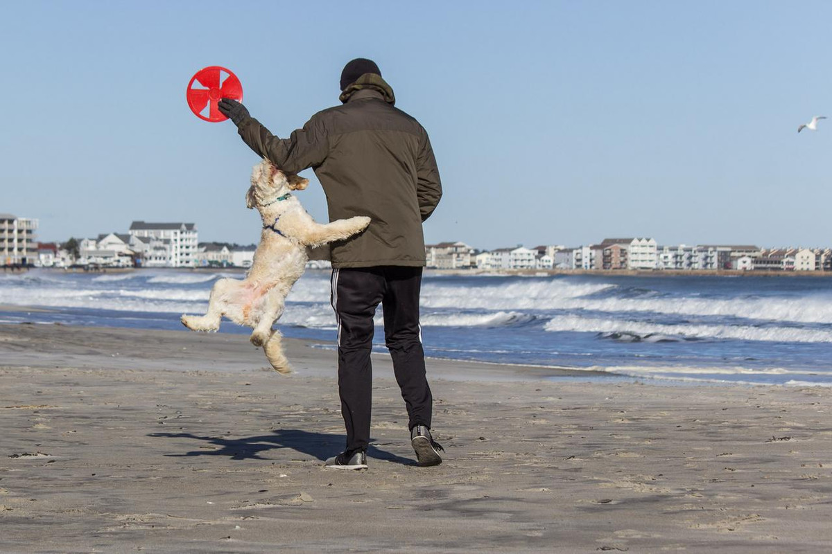 Hampton Beach November-5