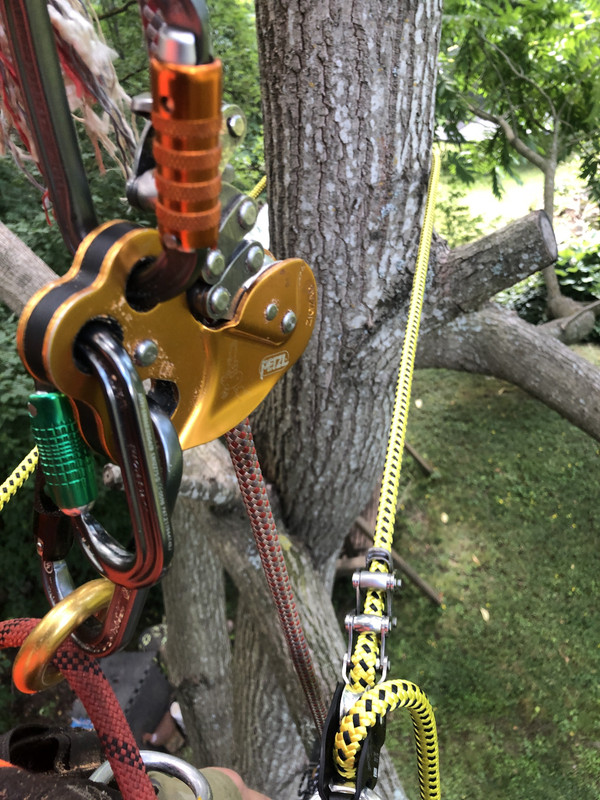 F8C37522-BC67-4C8D-BFA5-4D2BC6A52AF4