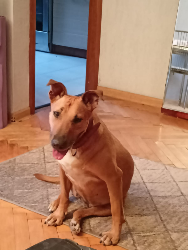 03E97B0F-7228-4820-B44C-580F5FFB48D7