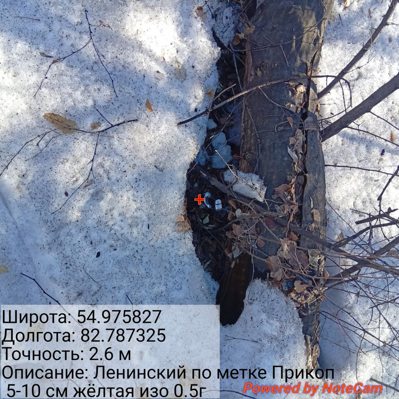 photo 2026 03 30 16 34 44