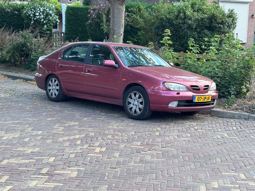 20260806-nissan-primera.jpg