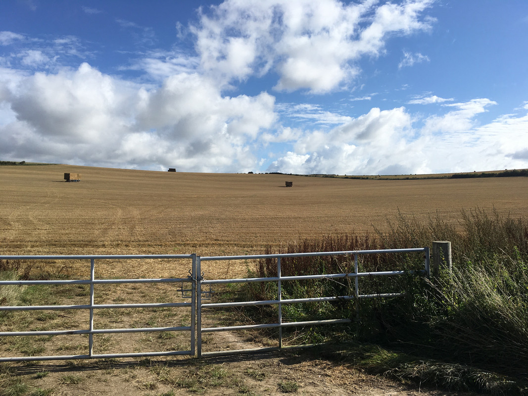 4738787C-CC76-4F6B-A72E-A63200F457D1