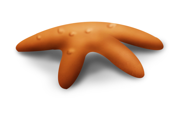 BIBI-UNDER THE SEA  ELEMS (24)