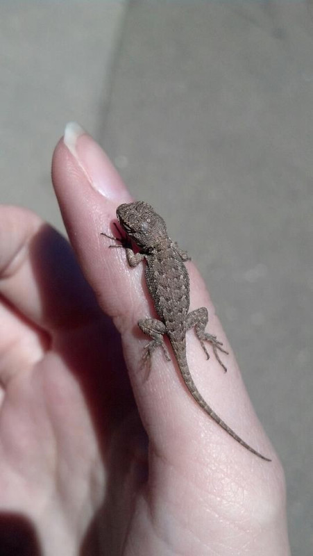 ۲۰۲۴۱۱۲۲_۲۱۲۴۴۶