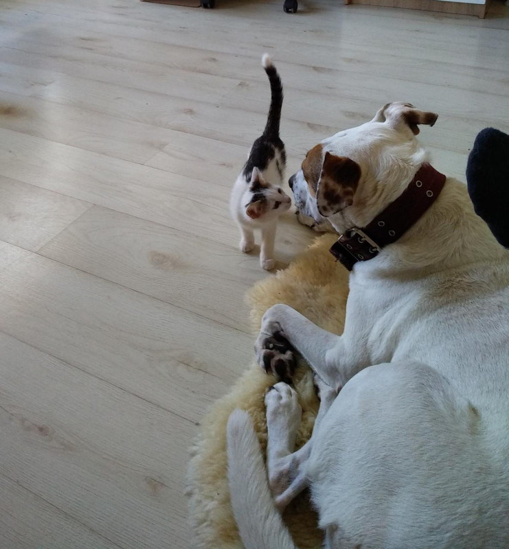 E8268895-DF32-44EE-818F-E76505AE746A