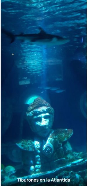 París y Eurodisney con los peques en 2022 - Blogs of France - Acuario Sea Life y más Eurodisney! (2)