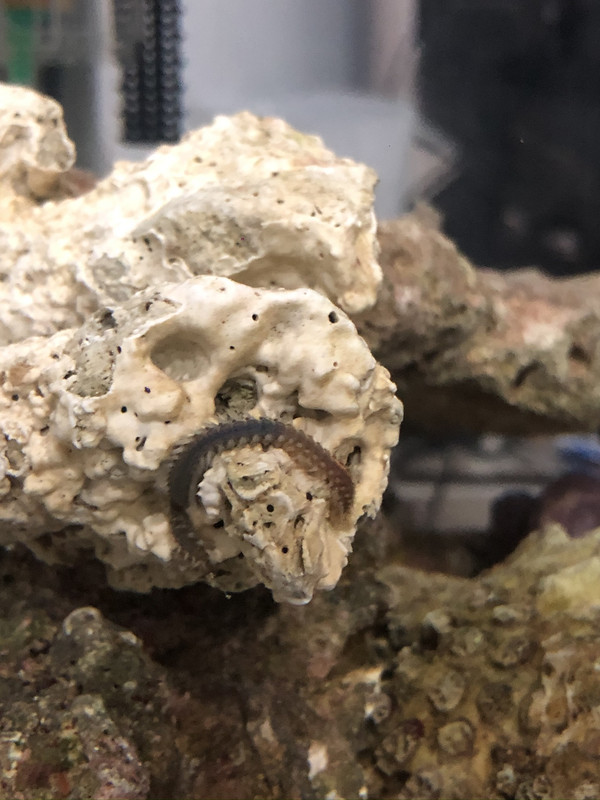 32C9E059-C1E7-4363-8D7C-8CADB922ECF6