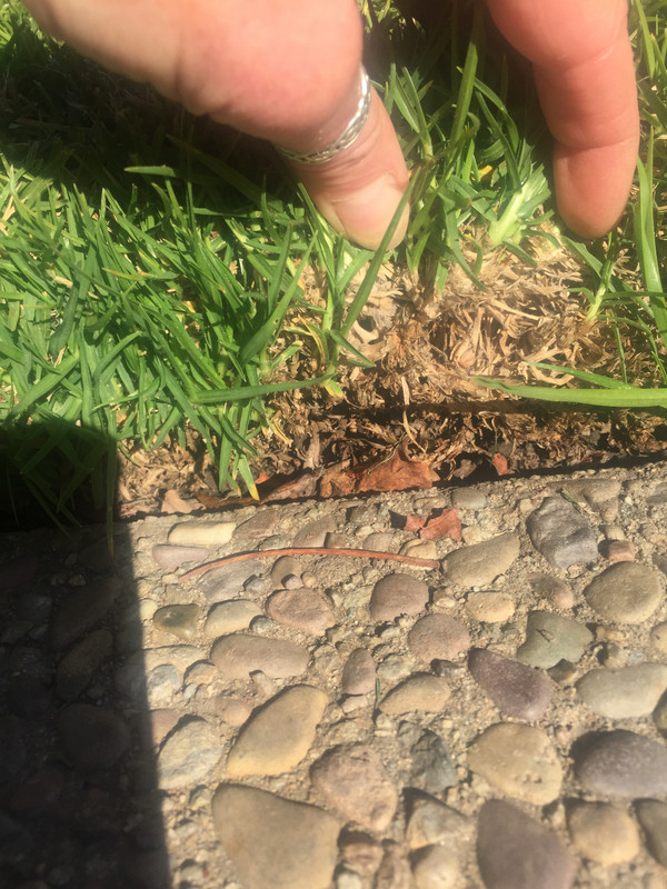 48FB010D-4C89-42A0-B6B3-99481BB6DF6F