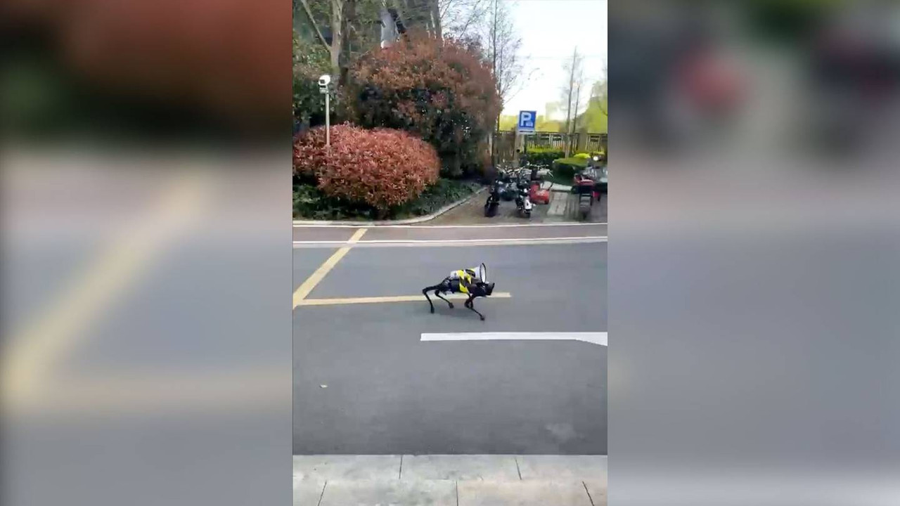 Perro robot vigila Shanghái en pleno confinamiento por COVID-19