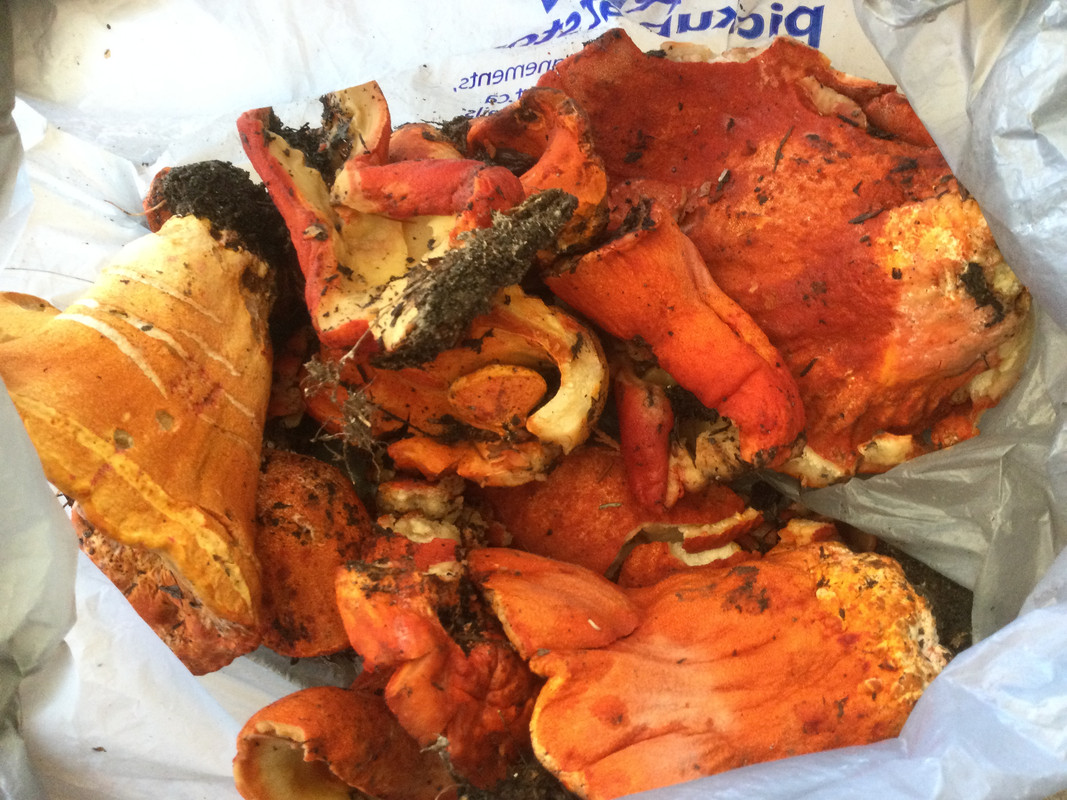 C8BDD1C7-2DF3-4CD2-B130-09C752AA7A23