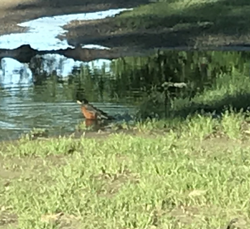 E5C8D700-4A35-47C9-B3E7-FE99B40AF039