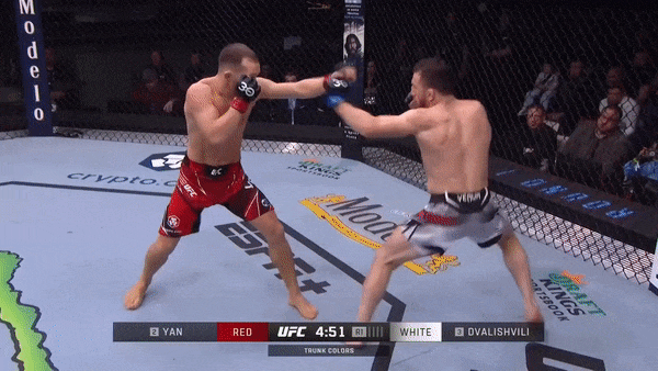 ezgif.com-optimize (27)