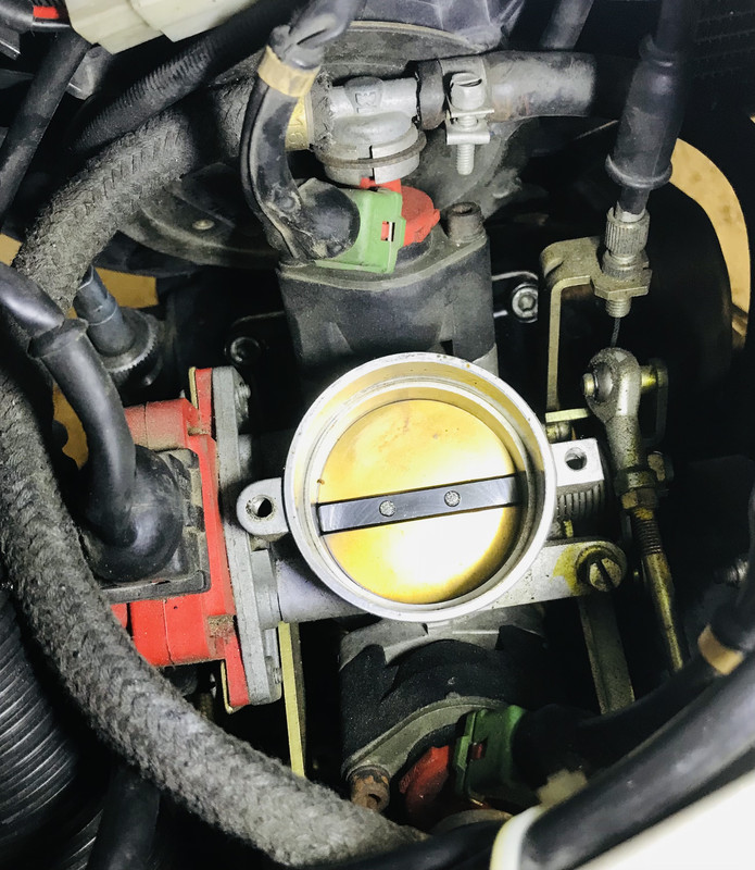 6B3E5534-E9CA-4D7F-B9FF-1166AF65961A