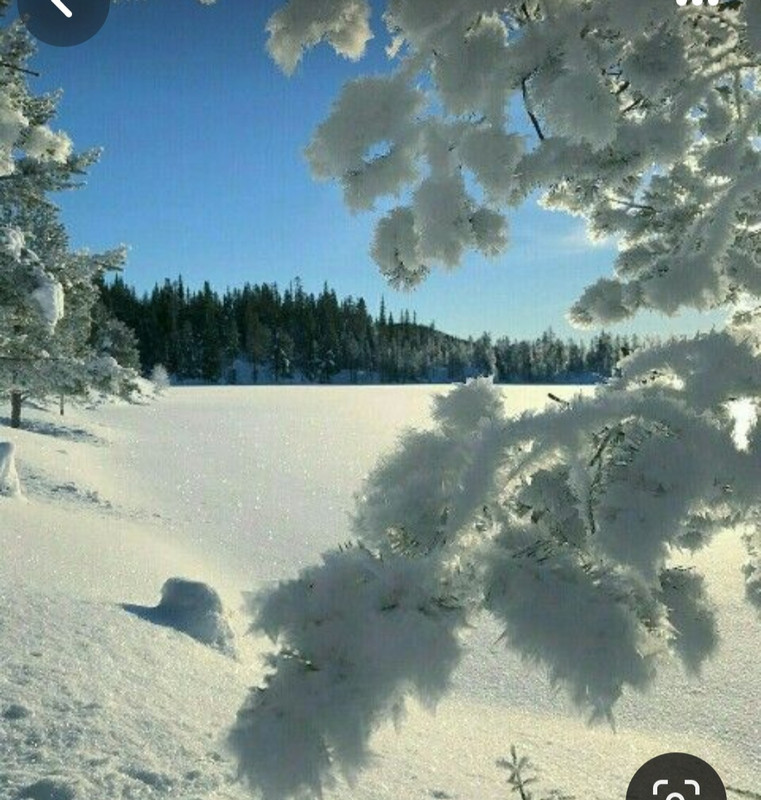 Screenshot_20231125_222552_Pinterest