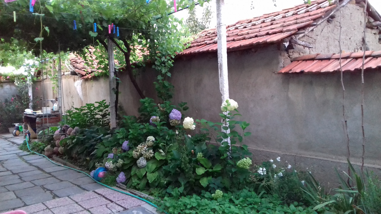 20190715_204417