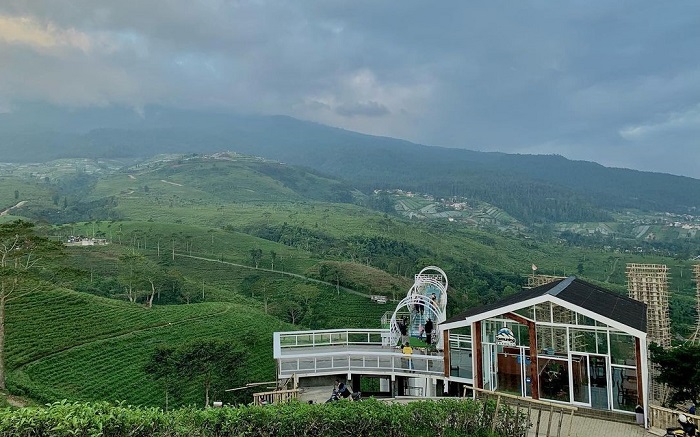 Kemuning Sky Hills, rekomendasi tempat wisata di Karanganyar dengan daya tarik jembatan kaca yang membentang di antara hamparan kebun teh.