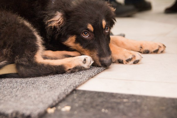 2EDC735A-B943-4145-9349-FD790DA49BF0