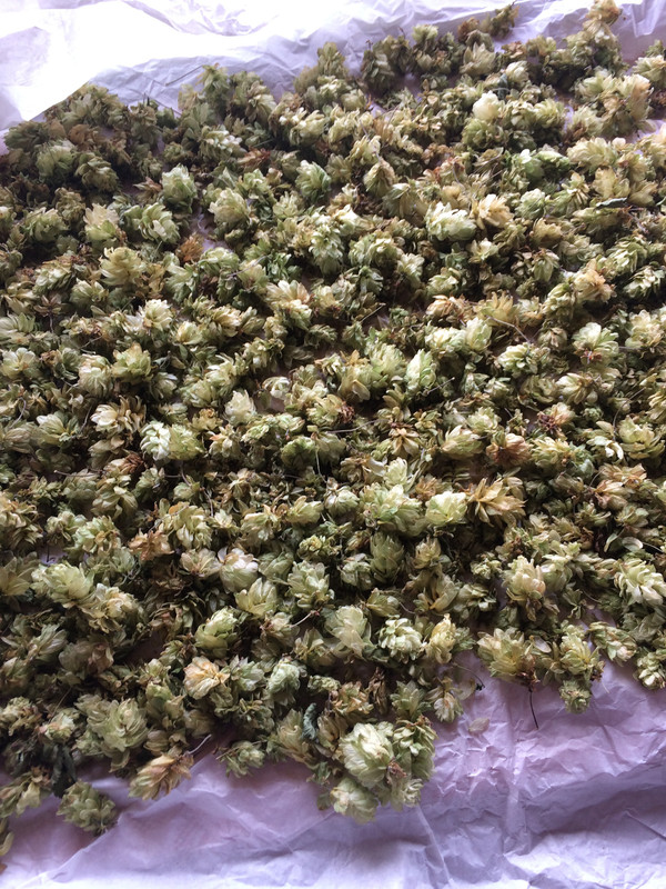 2EF301AD-1106-431E-9E79-3DCA2F42F247