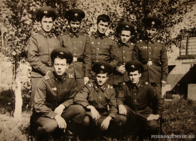 gallery_38019_101_31242